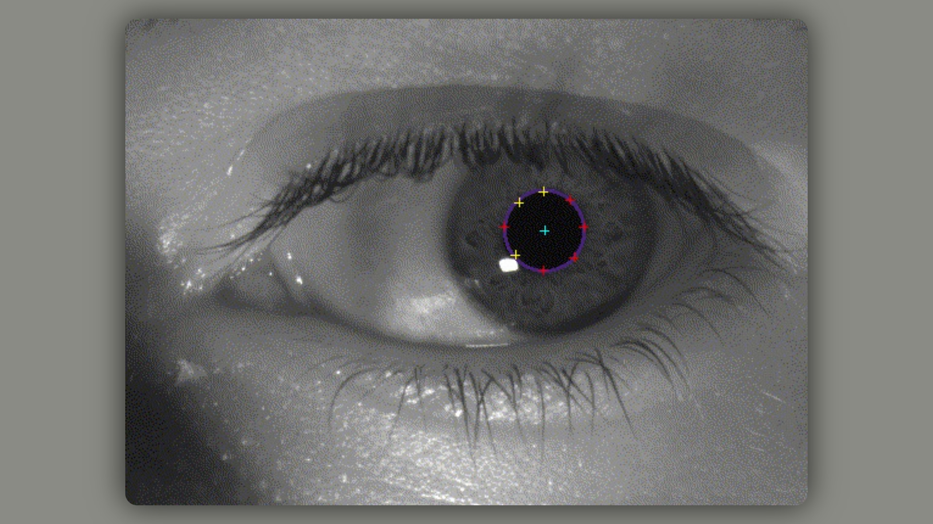 Pupil-tracking algorithm in action