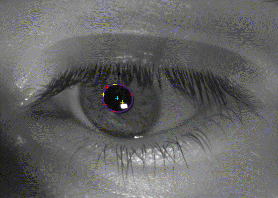 Pupil-Tracking Algorithm